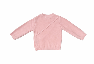 Pink Jumper  - Teddy Bear