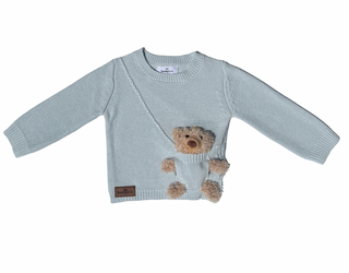 Blue Jumper  - Teddy Bear